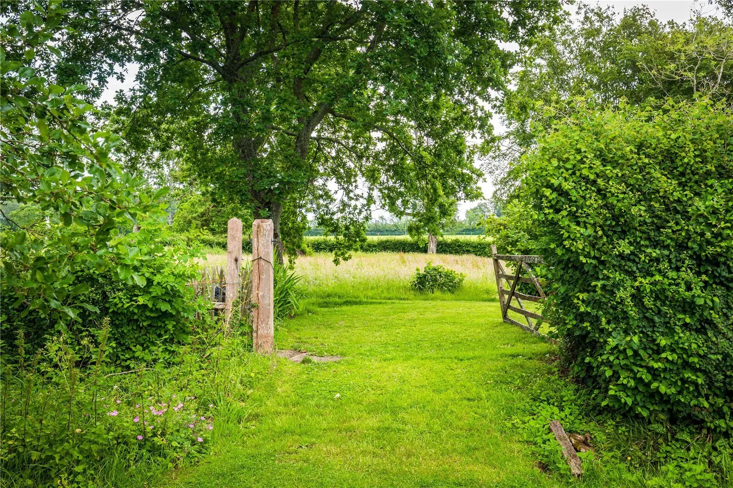 Heyshott, Midhurst, GU29 photo 12