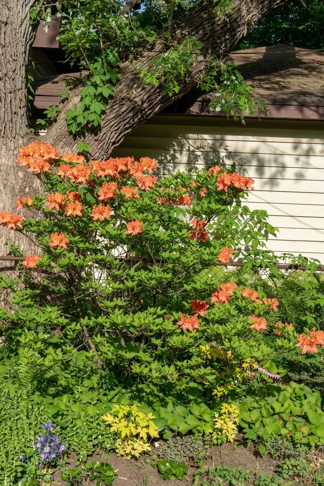 3015 E Minnehaha Pkwy, Minneapolis, MN 55417