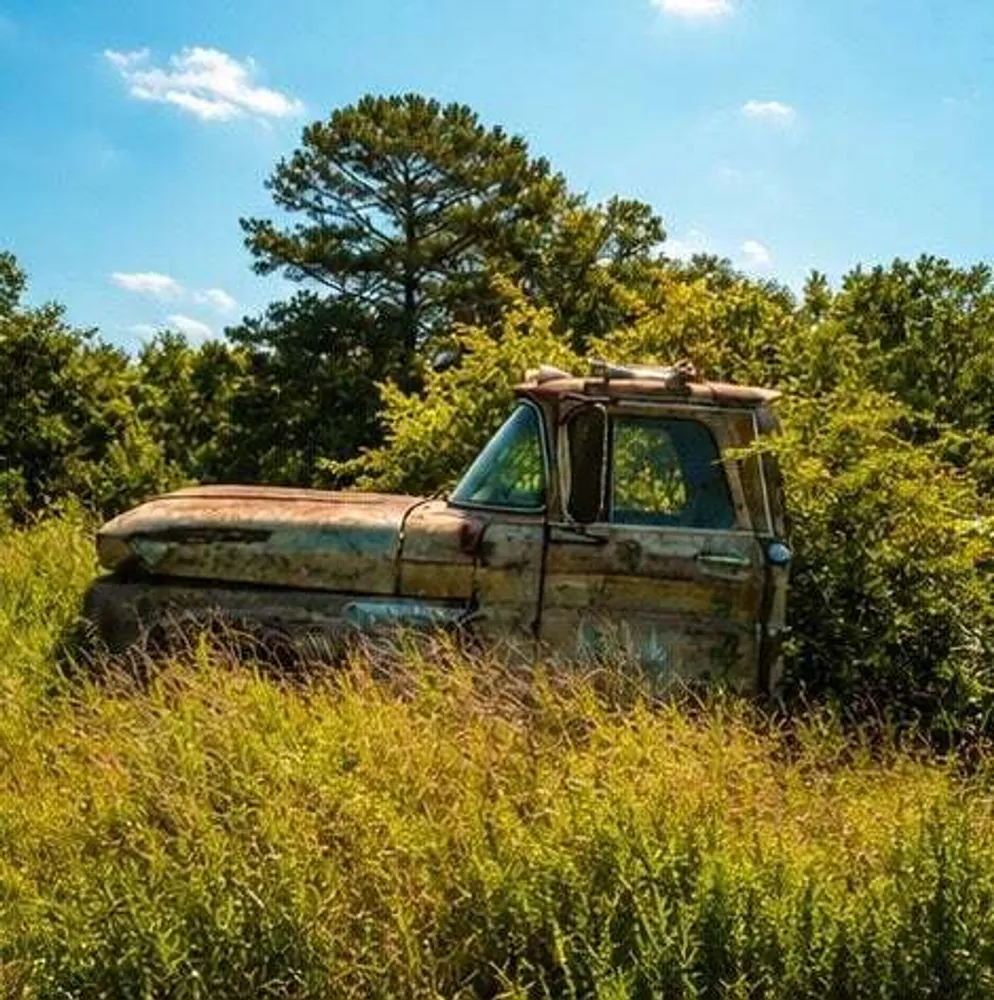 1029 Bear Hollow Rd, Pineville, MO 64856