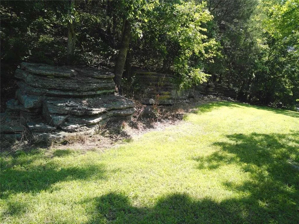 1029 Bear Hollow Rd, Pineville, MO 64856