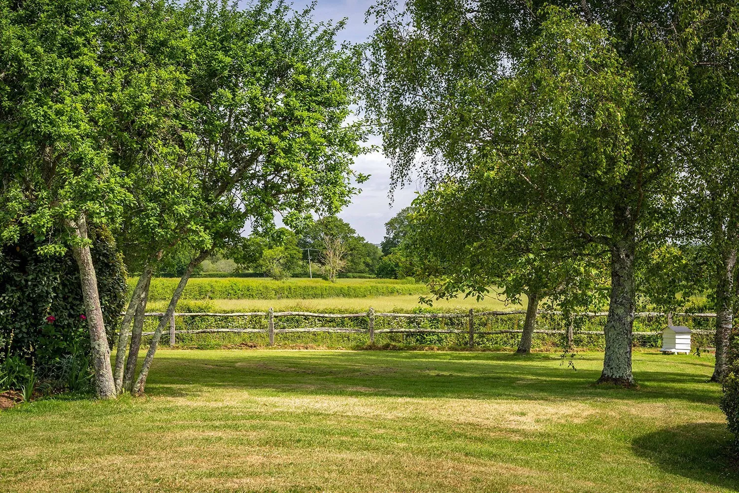 Bepton, Midhurst, GU29 photo 3