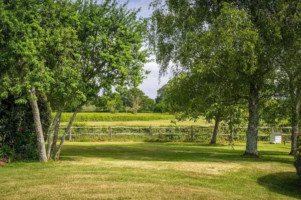 Bepton, Midhurst, GU29 photo 3