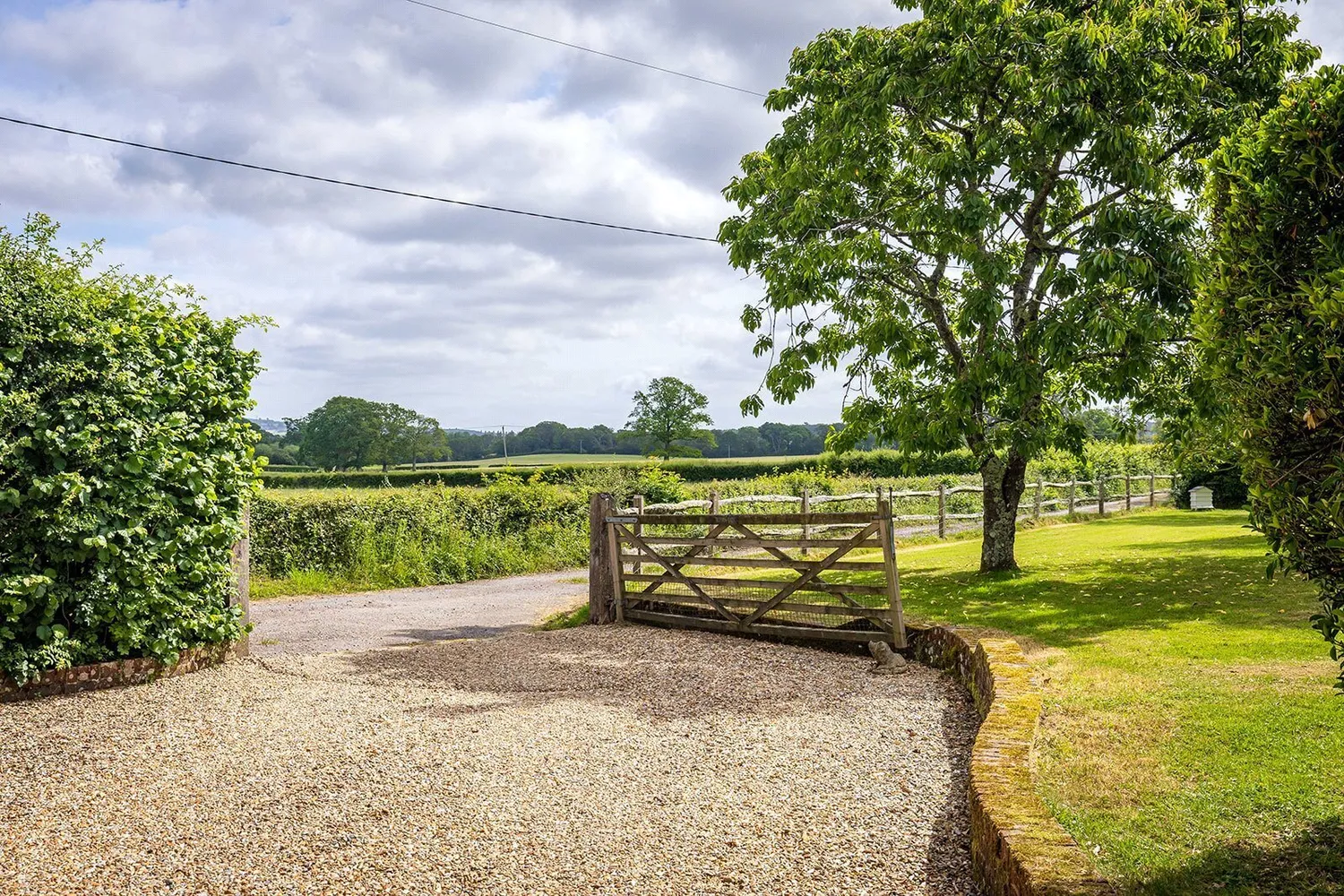 Bepton, Midhurst, GU29 photo 13