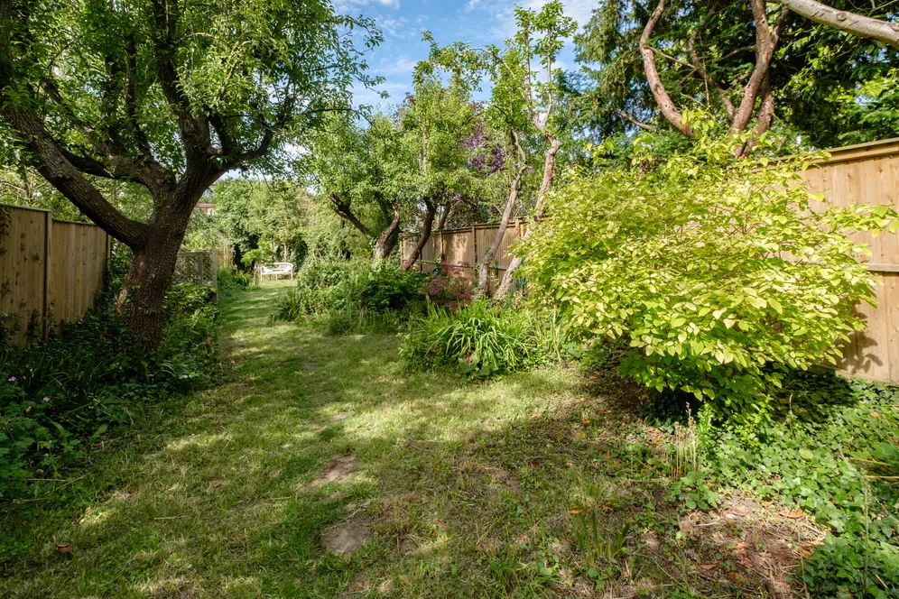 Clifton Road, London, N22 photo 20