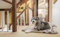 Property image gallery