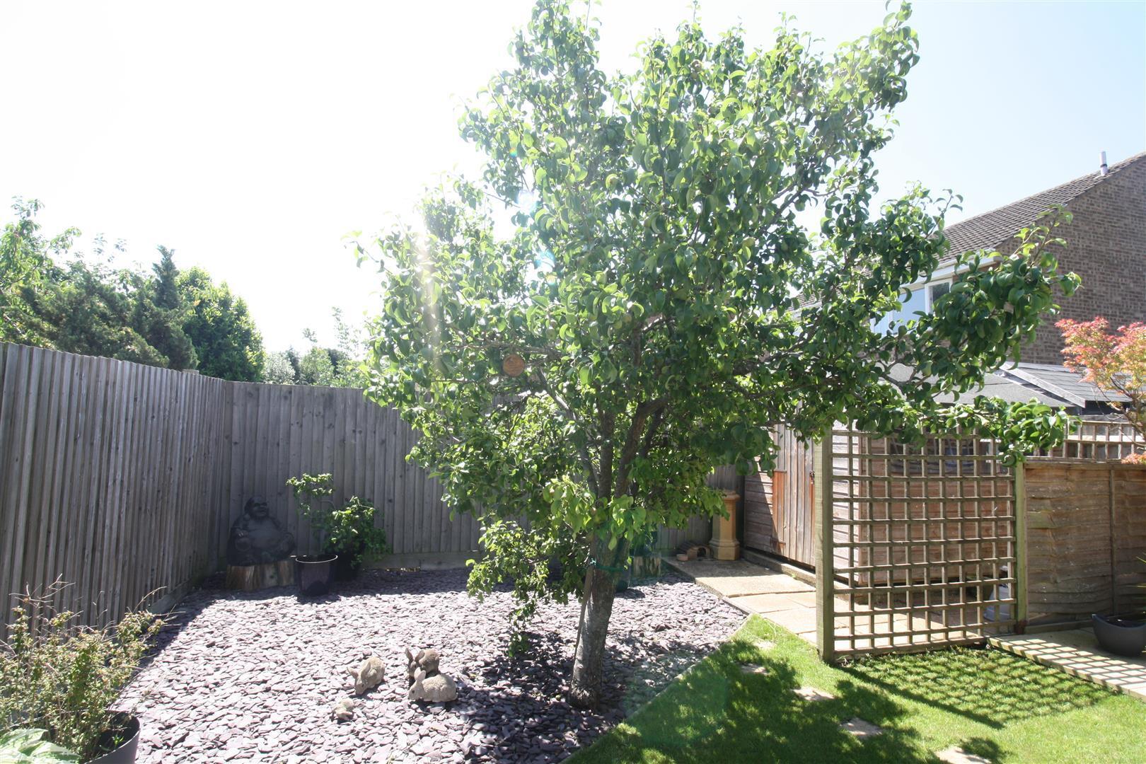 Magenta Close, Bletchley, Milton Keynes Image 17