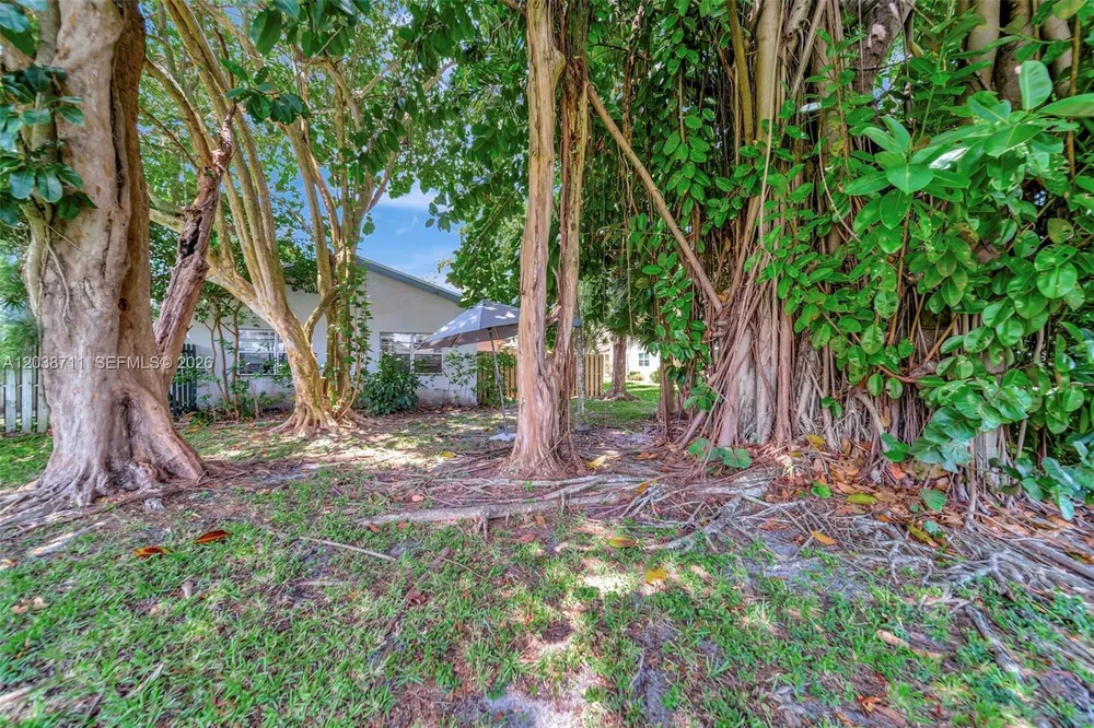 7447 W Sunrise Blvd, Plantation, FL 33313-4465