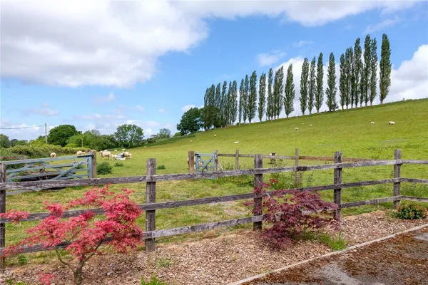 Mill Lane, Dowlish Wake, TA19 photo 50