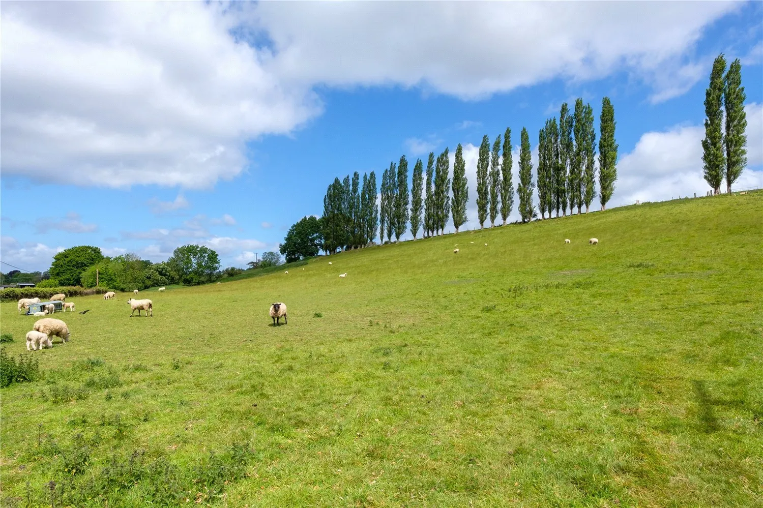 Mill Lane, Dowlish Wake, TA19 photo 51