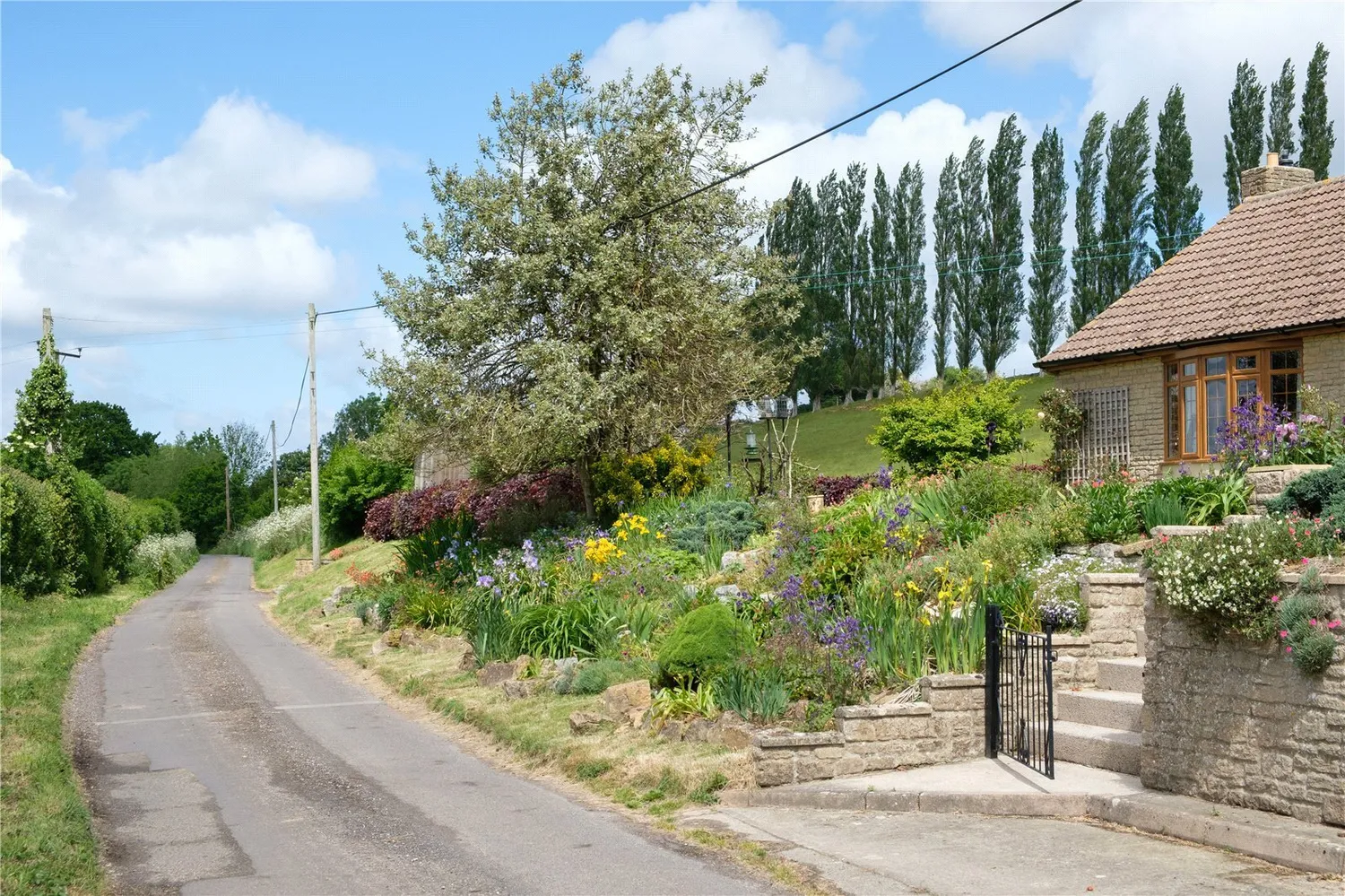 Mill Lane, Dowlish Wake, TA19 photo 53