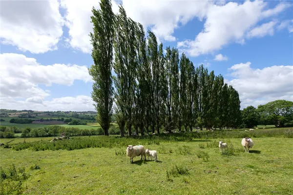 Mill Lane, Dowlish Wake, TA19 photo 55