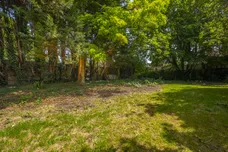 Catherine Road, Surbiton, KT6 photo 4