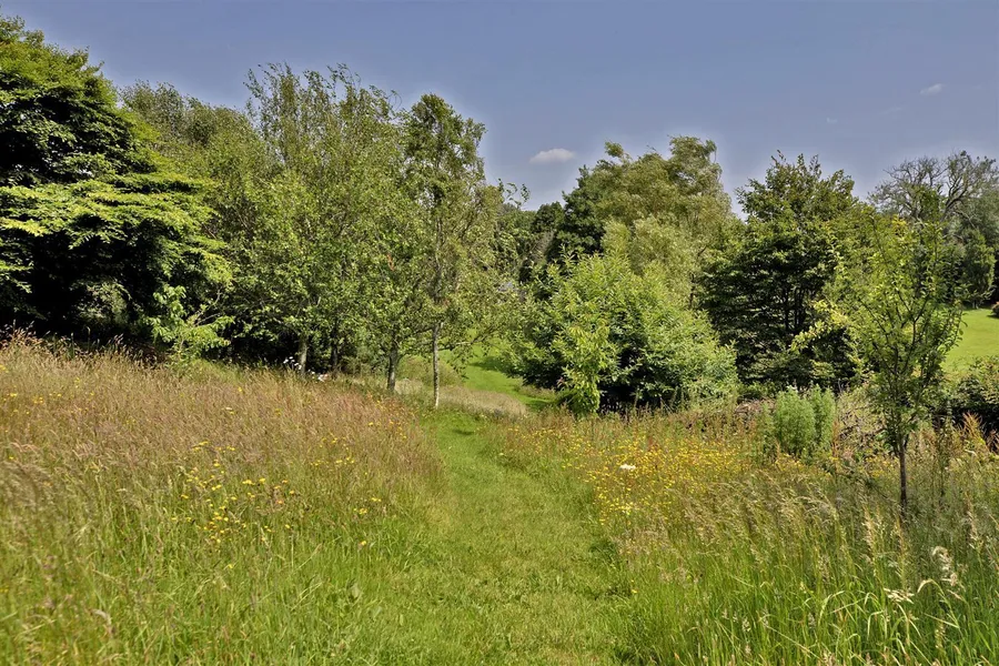 Property Image 53
