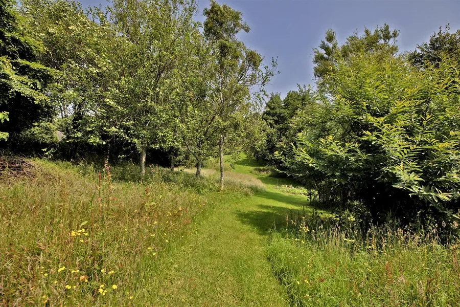 Property Image 54
