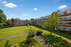 New Park Road, London