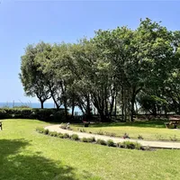 Property 26