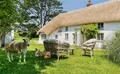 Property image gallery