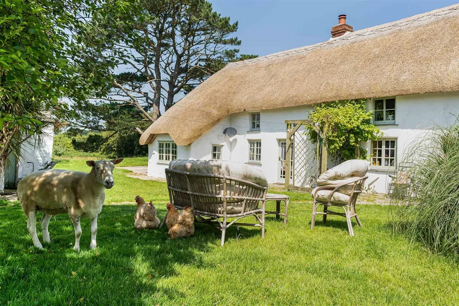 Property Image 40