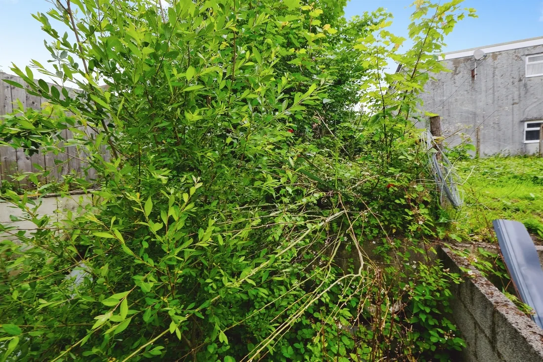 Property photo 18