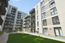 Wych Elm, HARLOW