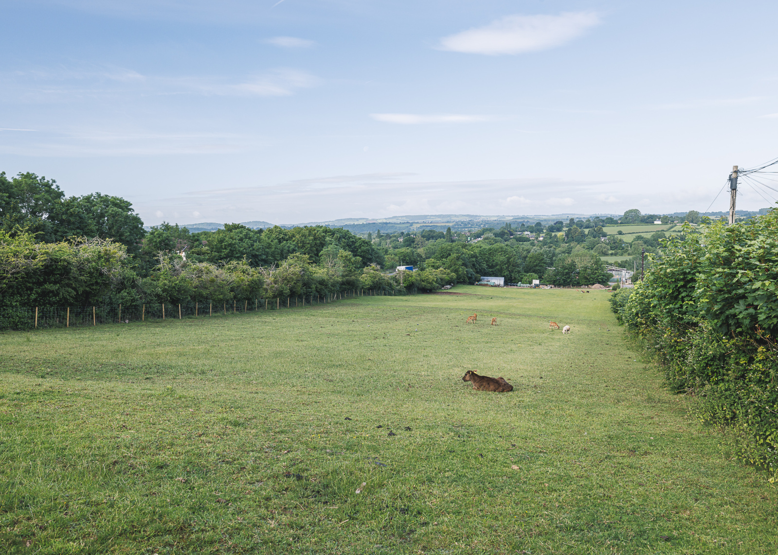 Greytree, Ross-on-Wye, Herefordshire, HR9 Image 19
