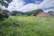 Fengate, Marsham, Norwich
