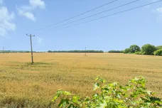 Muncey Grove, Bassingbourn, Royston