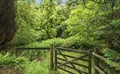 Property image gallery