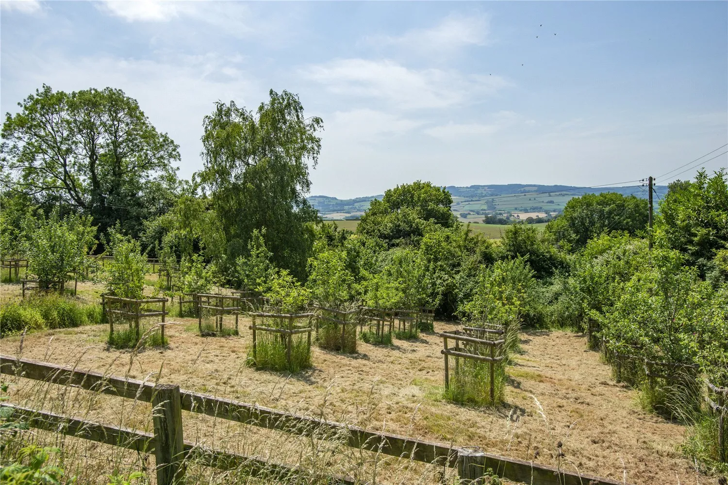 Crowcombe, Taunton, TA4 photo 22