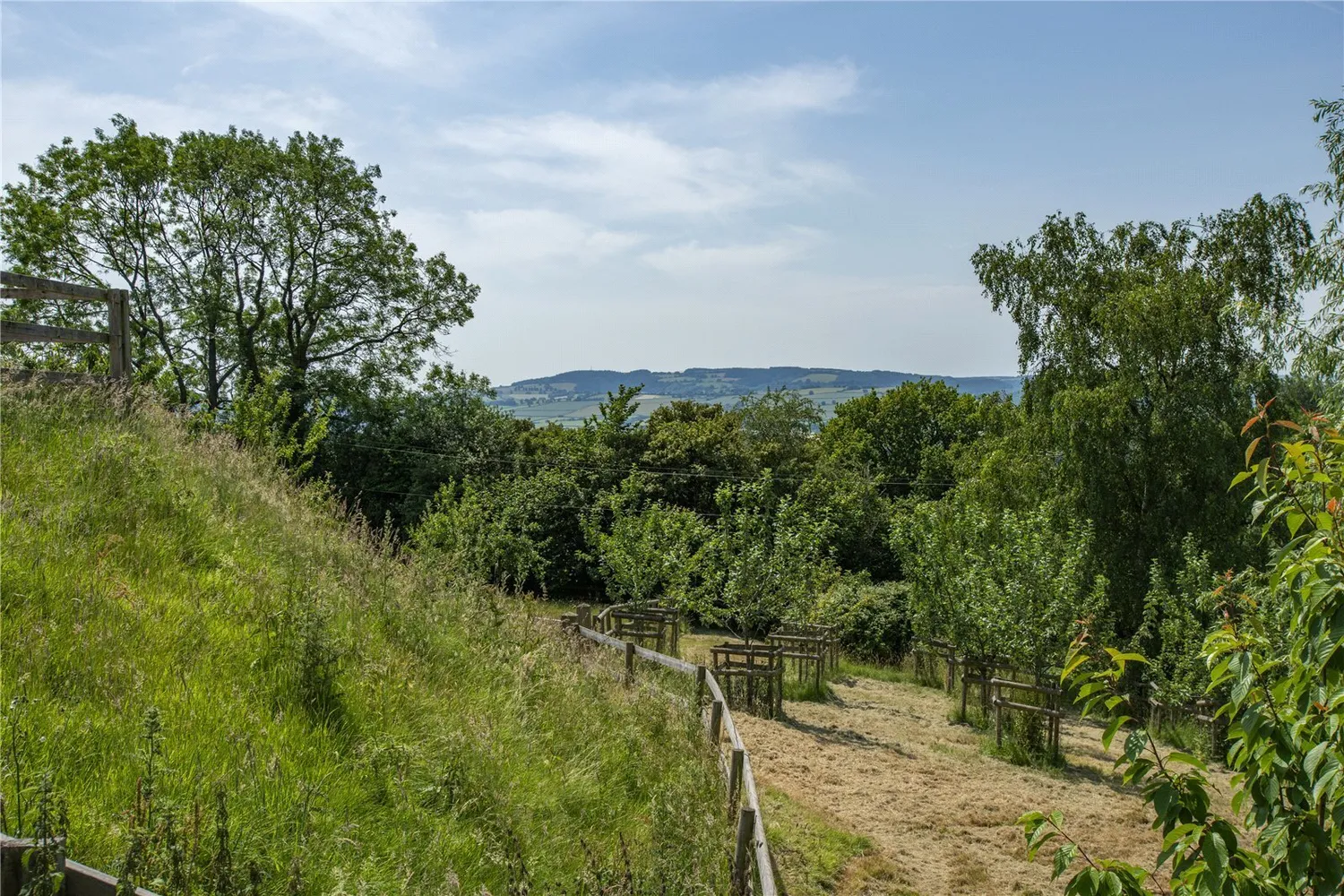 Crowcombe, Taunton, TA4 photo 23