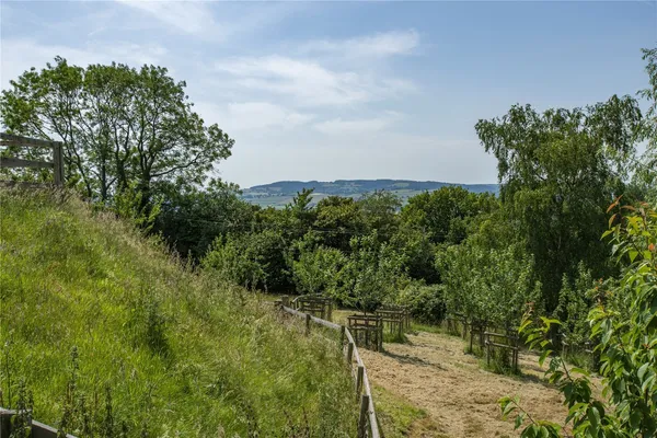 Crowcombe, Taunton, TA4 photo 23
