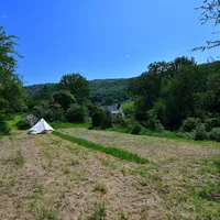 Property 28