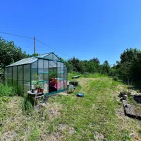 Property 29