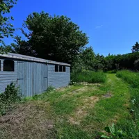 Property 31