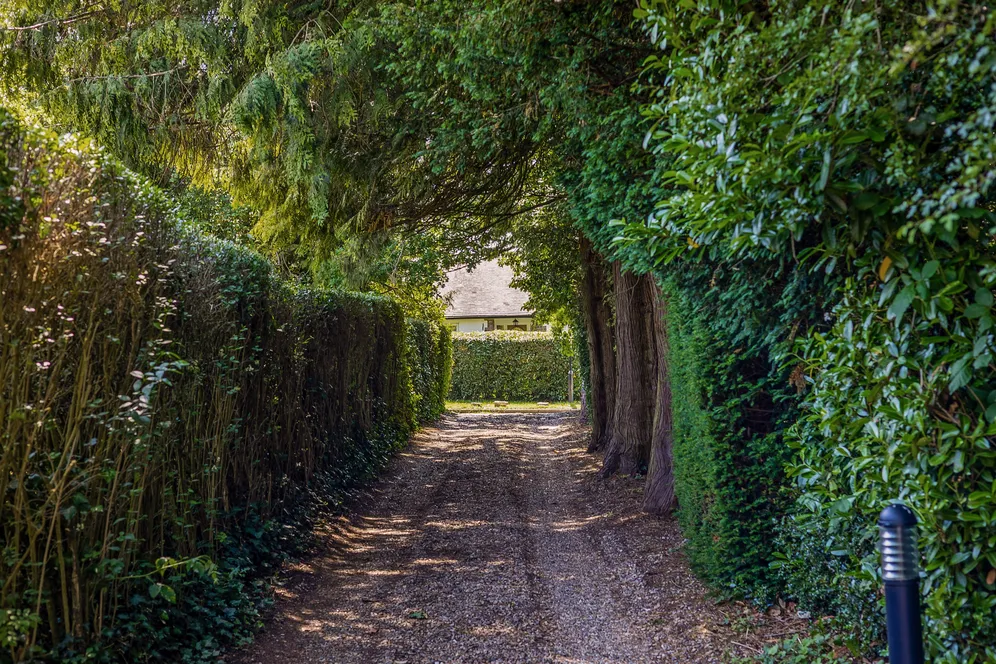 Hayes Lane, Kenley, CR8 photo 14