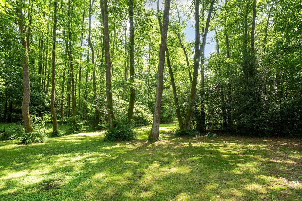 Wey Lodge Close, Liphook, GU30 photo 11