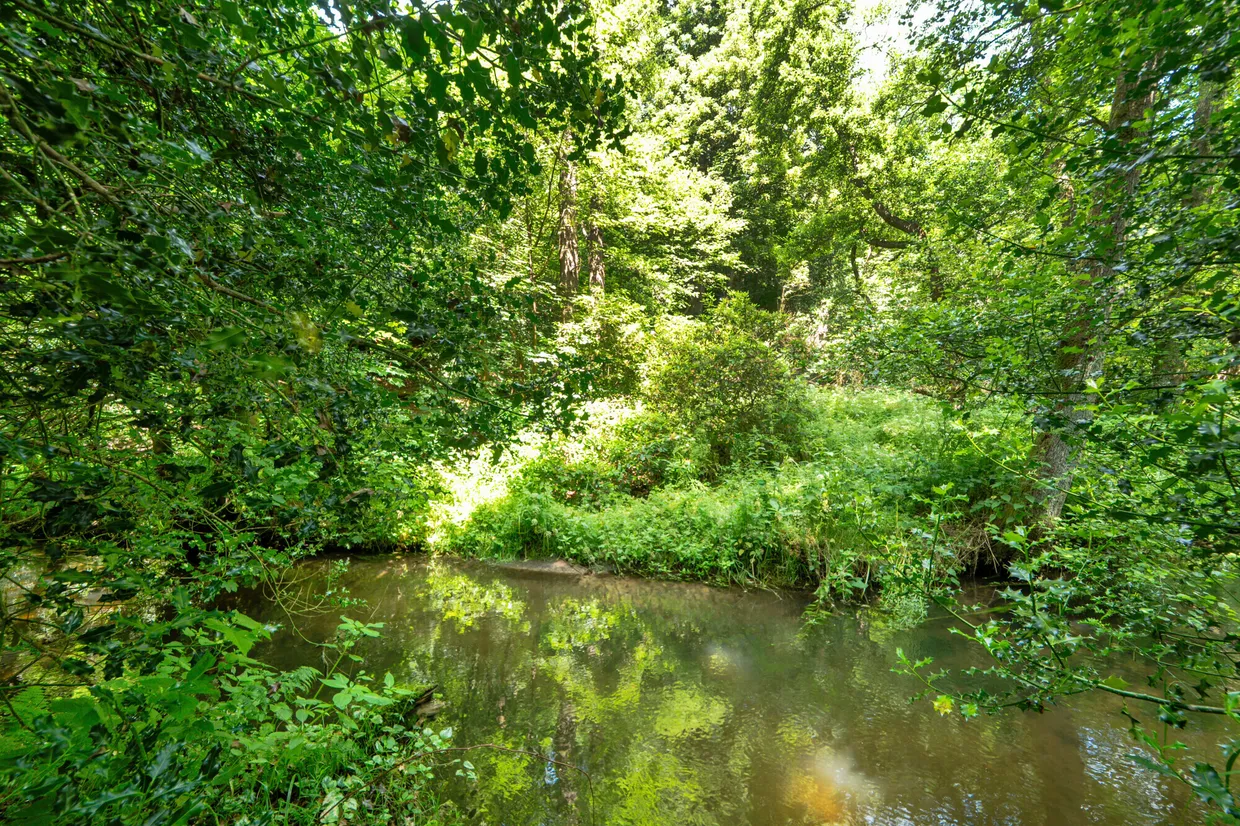 Wey Lodge Close, Liphook, GU30 photo 13