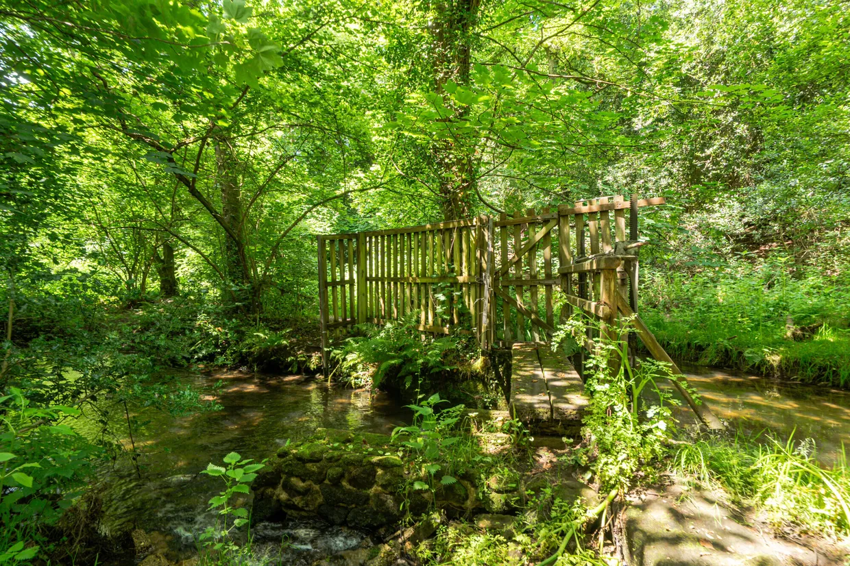 Wey Lodge Close, Liphook, GU30 photo 14