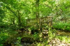 Wey Lodge Close, Liphook, GU30 photo 14