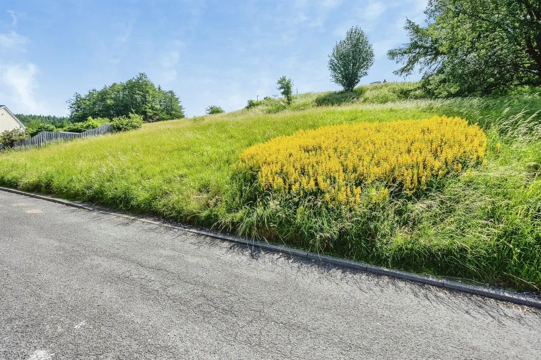 Property photo 33