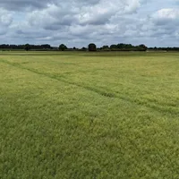 Property 4
