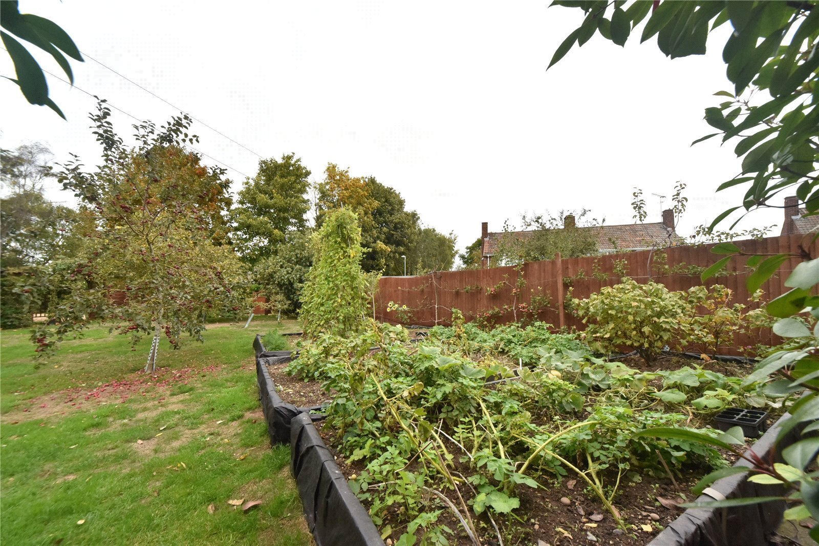 Hereward Avenue, Mildenhall, Bury St. Edmunds, Suffolk, IP28 Image 3