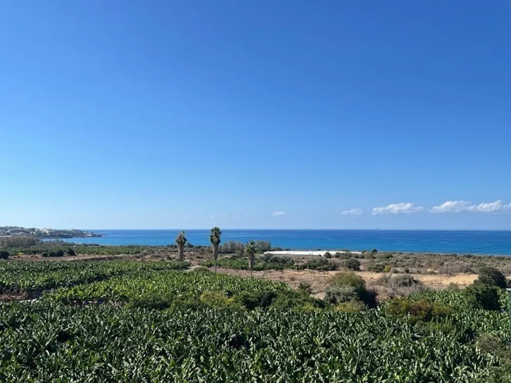 7 Bedrooms, 9 bathrooms Luxury Villa : Peyia, Paphos area, Peyia