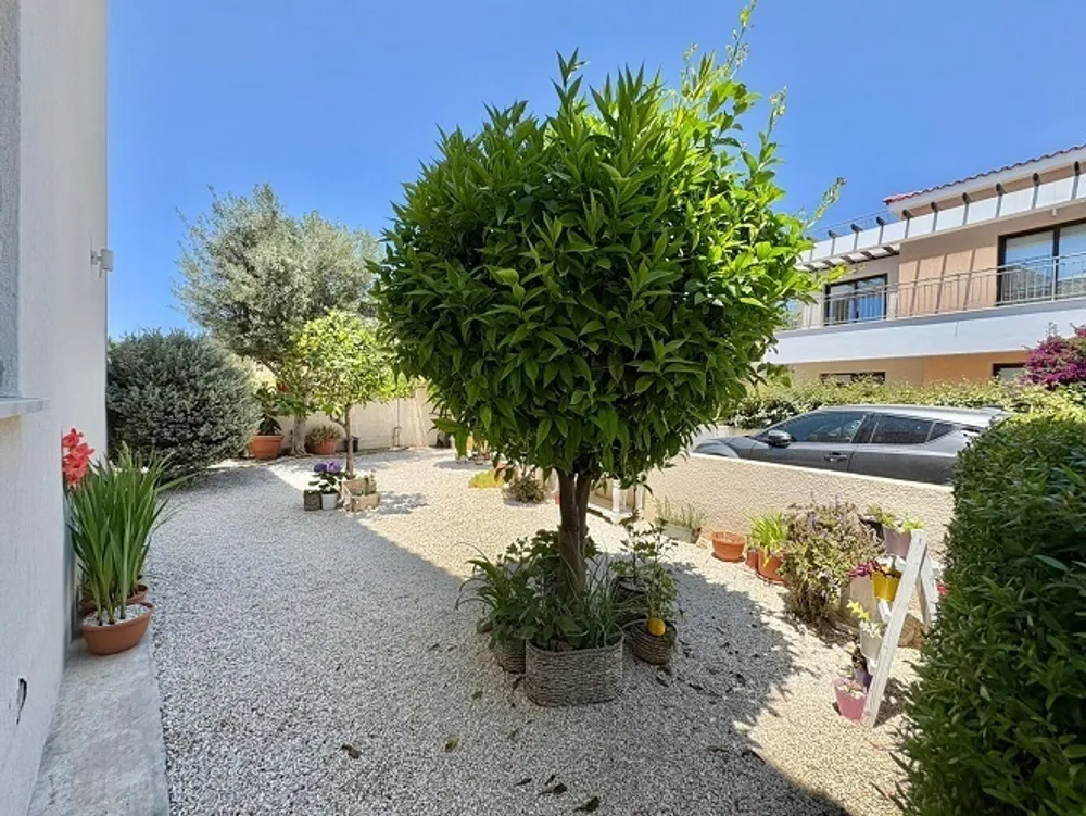 3 Bedroom Villa with Roof Terrace  Sea views : Peyia, Paphos, Peyia