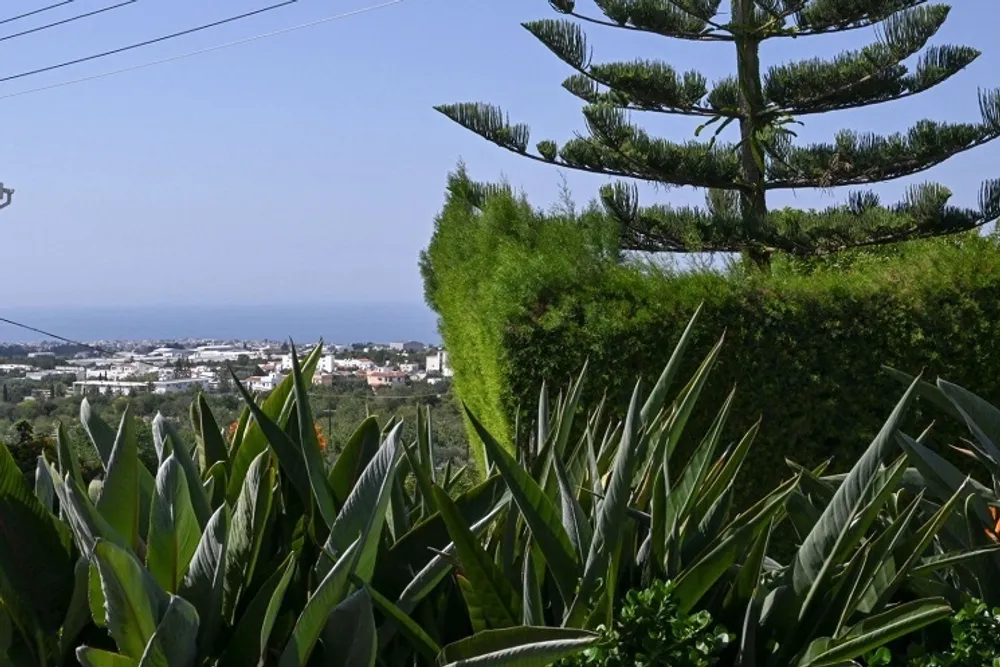 3 bedroom Bungalow with sea and town views : Mesa Chorio, Paphos, Mesa Chorio