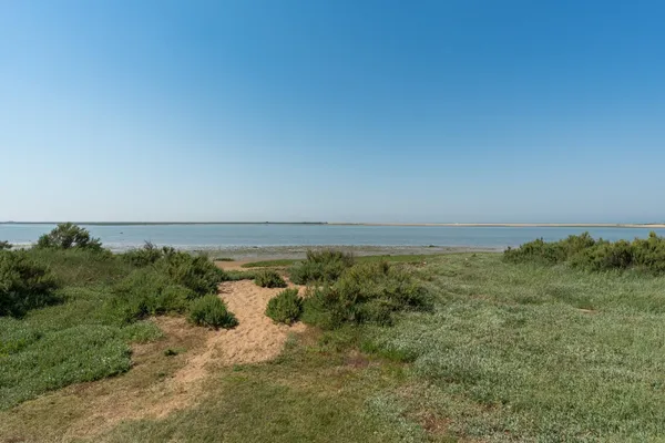 Beacon Heights, St. Osyth, CO16 photo 28