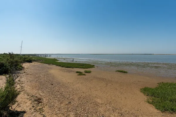 Beacon Heights, St. Osyth, CO16 photo 34