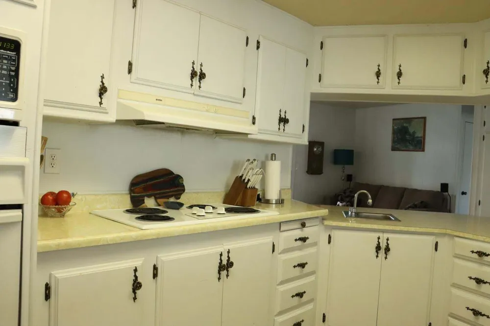3231 Vineyard Ave, Pleasanton, CA 94566