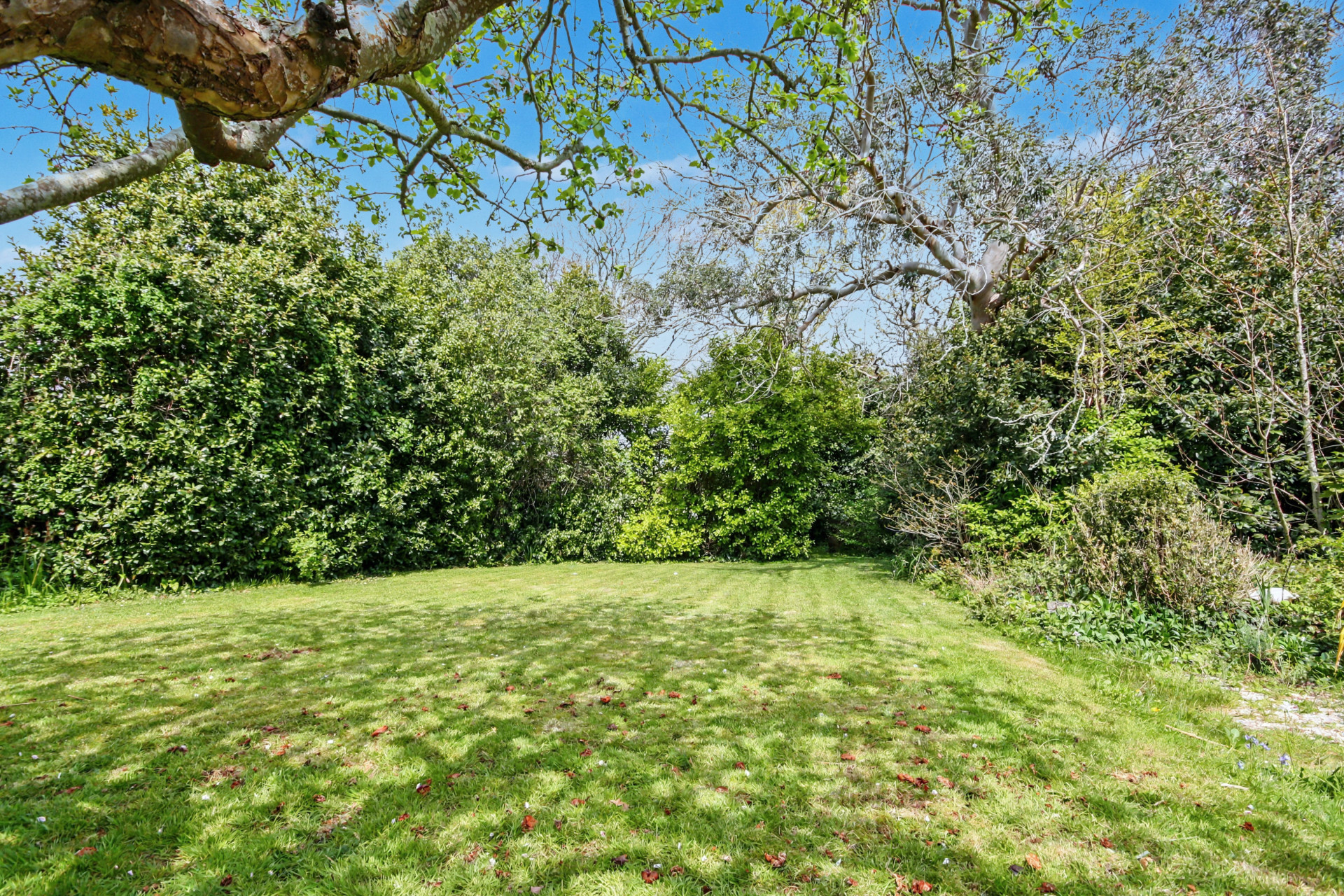 George Road, Milford on Sea Image 16