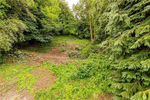 Weeke Hill, Dartmouth, TQ6 photo 11